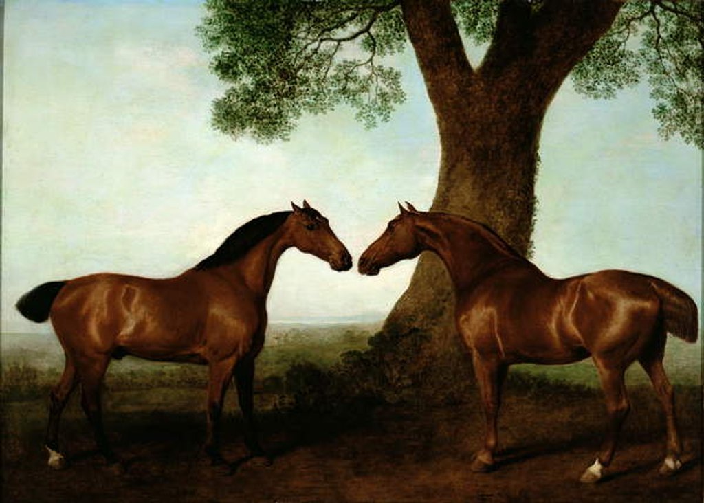 Detail of Two Bay Hunters by a Tree, 1786 by George Stubbs