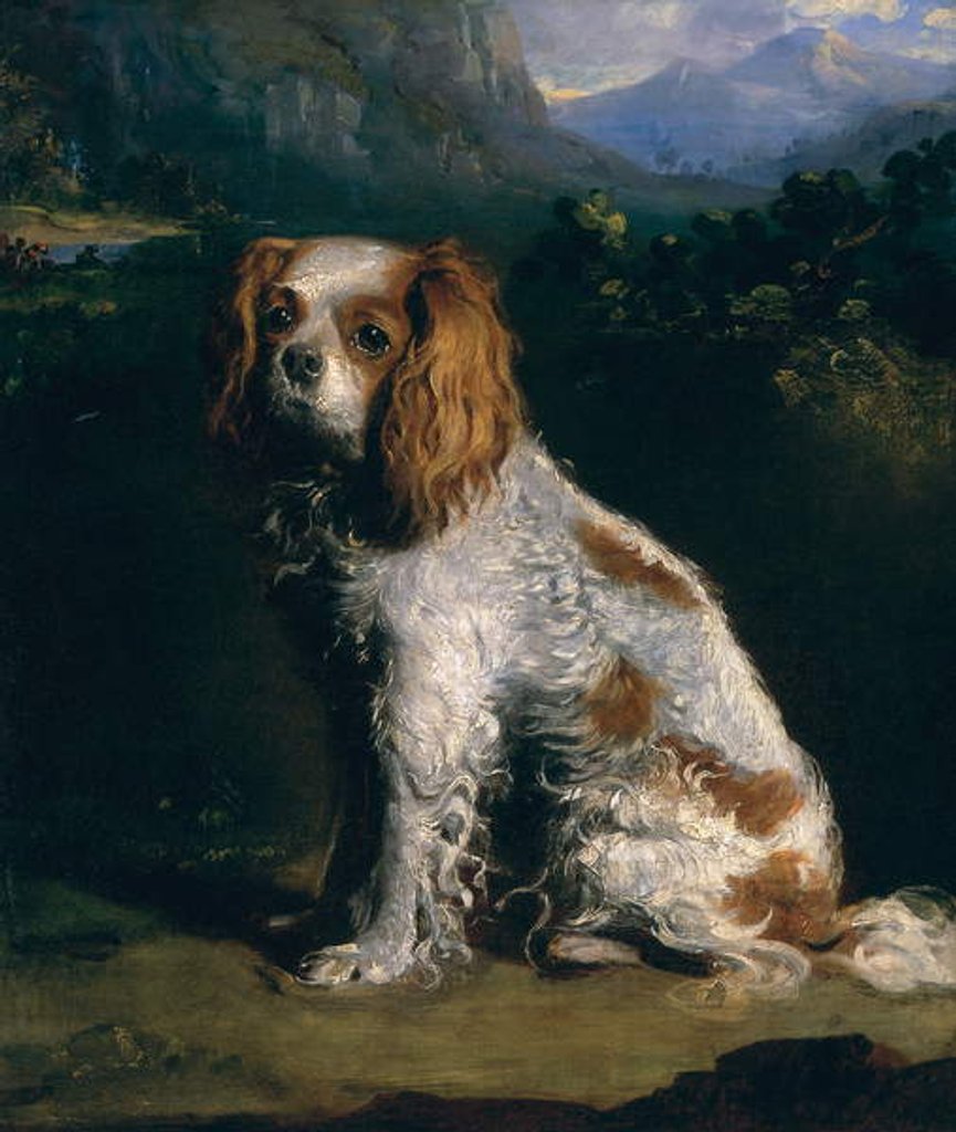 Detail of A King Charles Spaniel by Philip Reinagle