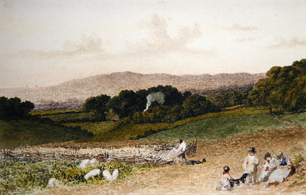 Detail of The Turnip Field by Robert Hills