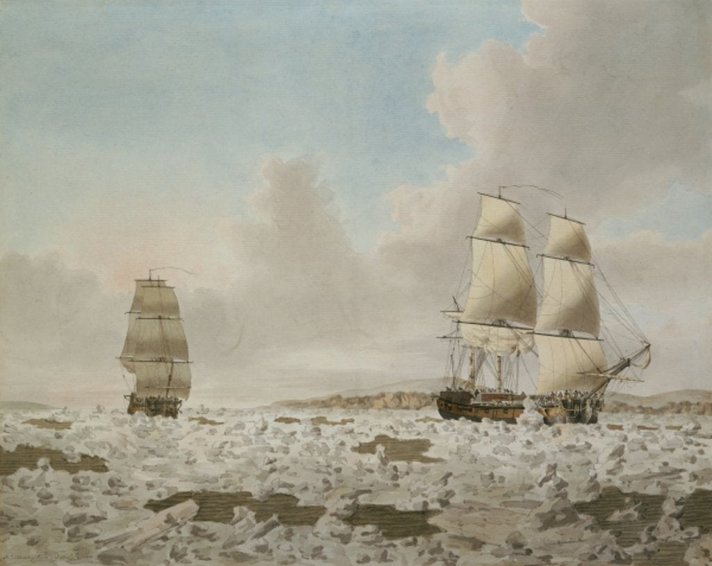 Detail of The Racehorse and Carcass forcing through the Ice by John the Younger Cleveley