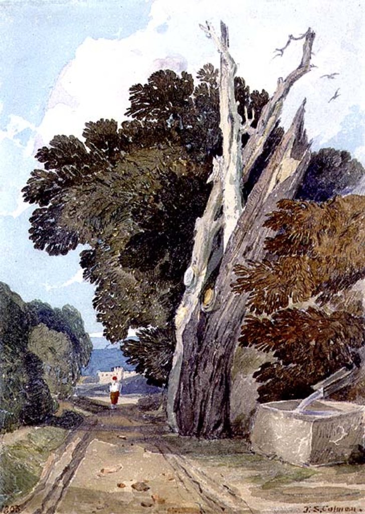 Detail of A Spanish Chestnut Tree Struck by Lightning by John Sell Cotman