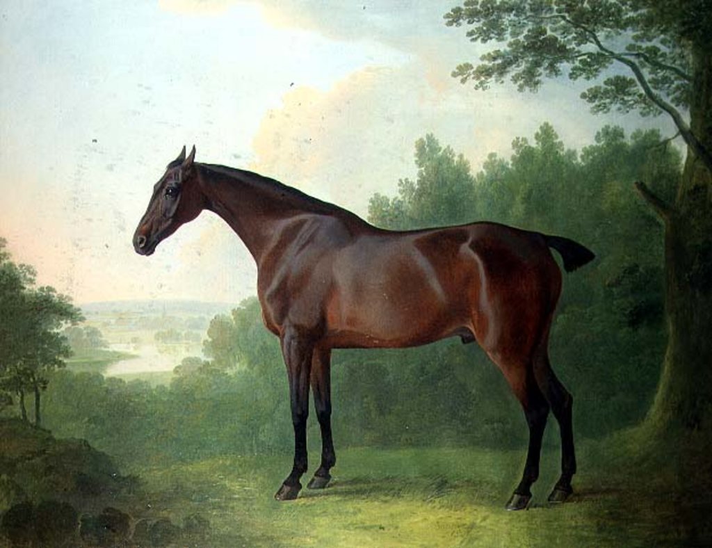Detail of Marquis, a bay hunter in a landscape, 1811 by John Boultbee