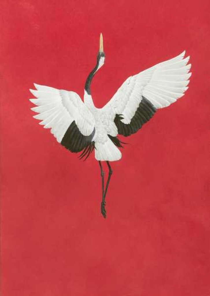 Detail of The Dance-Red by Tim Hayward