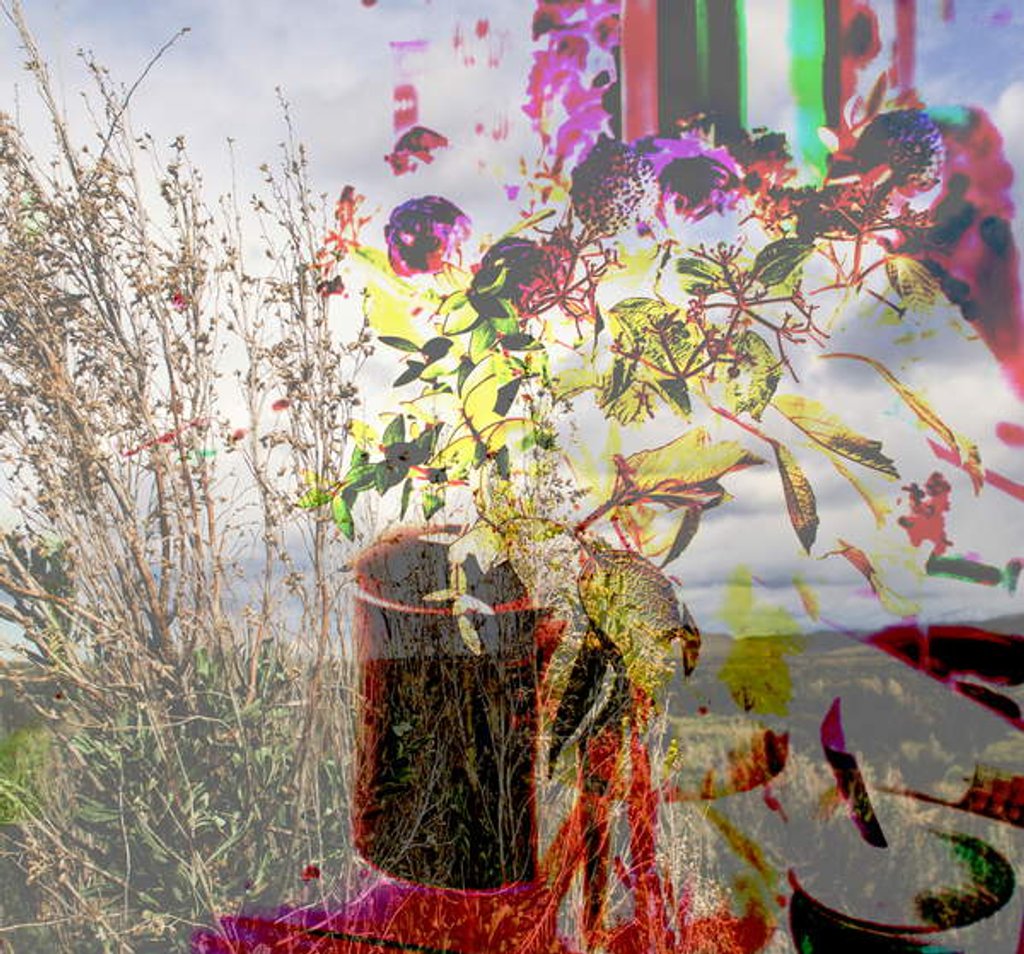 Detail of Still life, 2019 by Alex Caminker