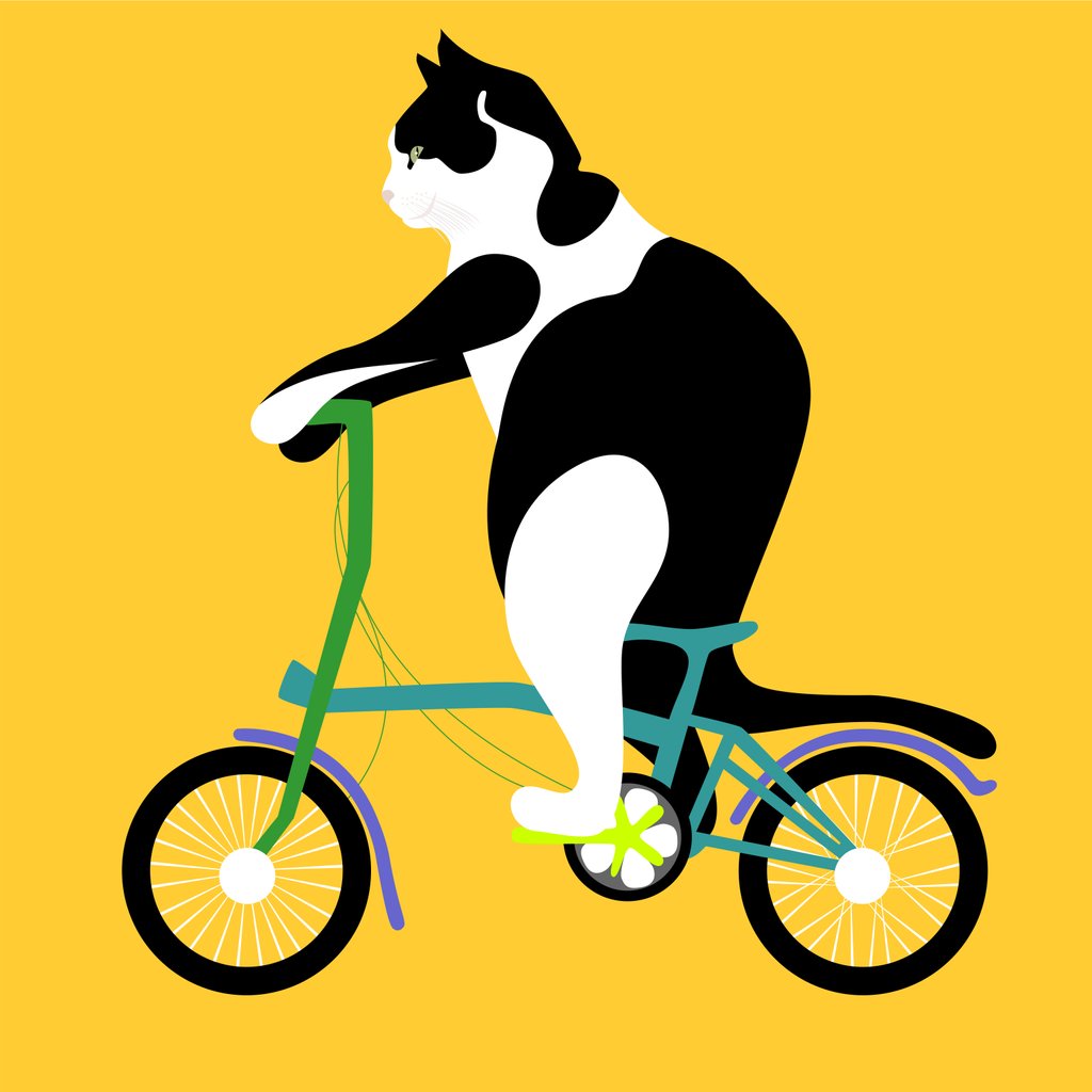 Detail of Cat on a Brompton Bike, 2017 by Claire Huntley