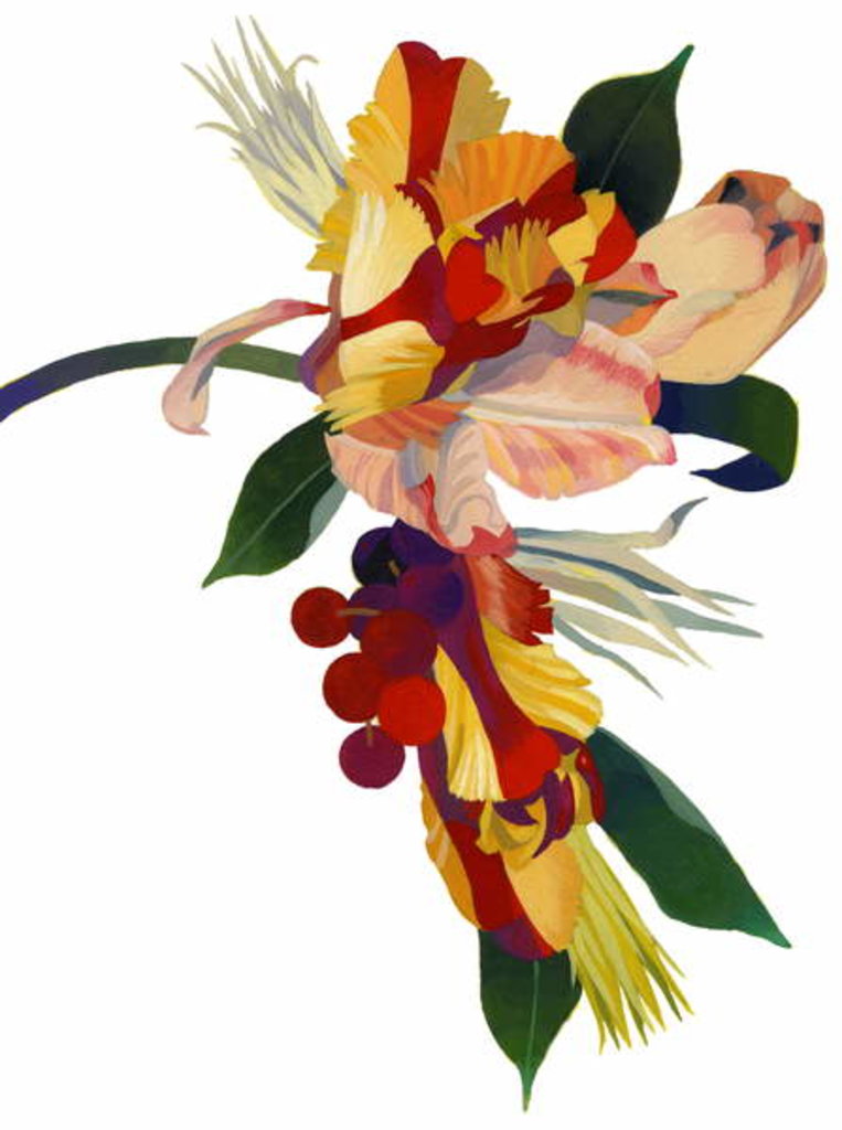 Detail of Tulip parrot1 by Hiroyuki Izutsu