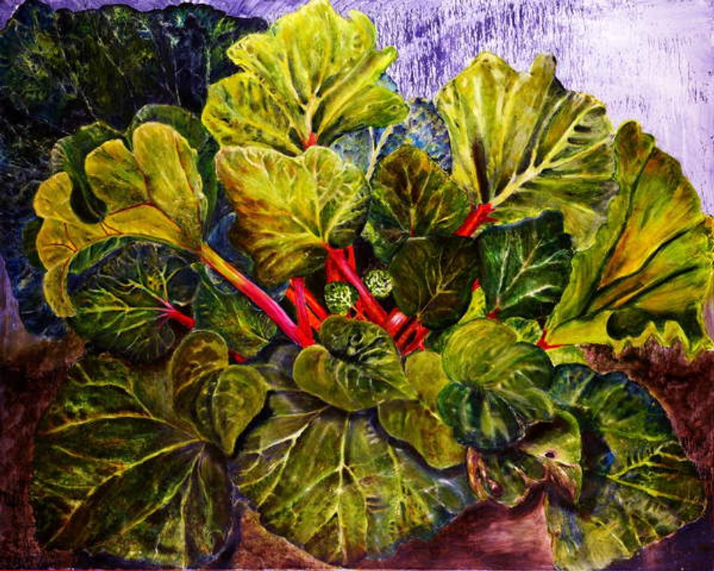 Detail of rhubarb, 2016 by jocasta shakespeare