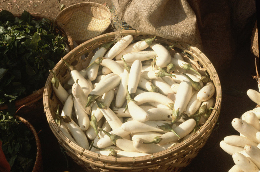 Detail of Basket of White Eggplants at the Market by Anonymous