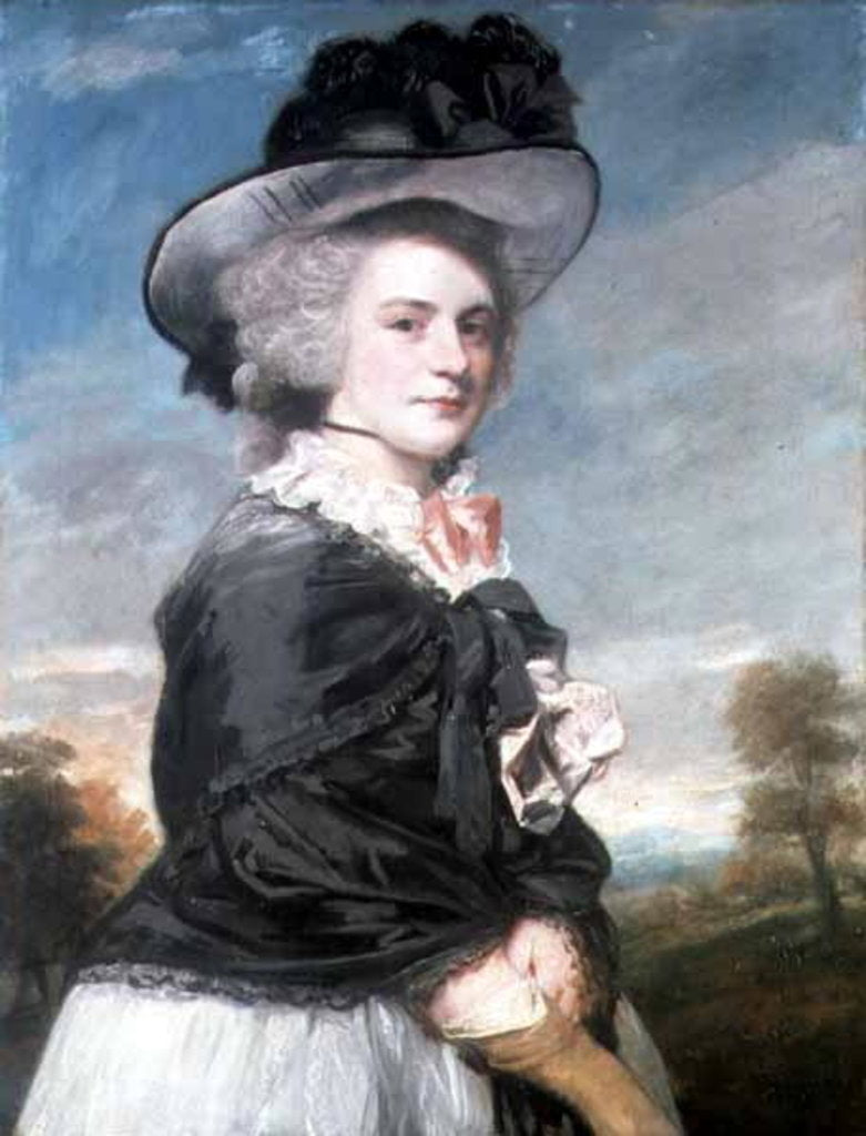 Detail of Portrait of Miss Keppel, afterwards Mrs Thomas Meyrick, 1782 by Joshua Reynolds