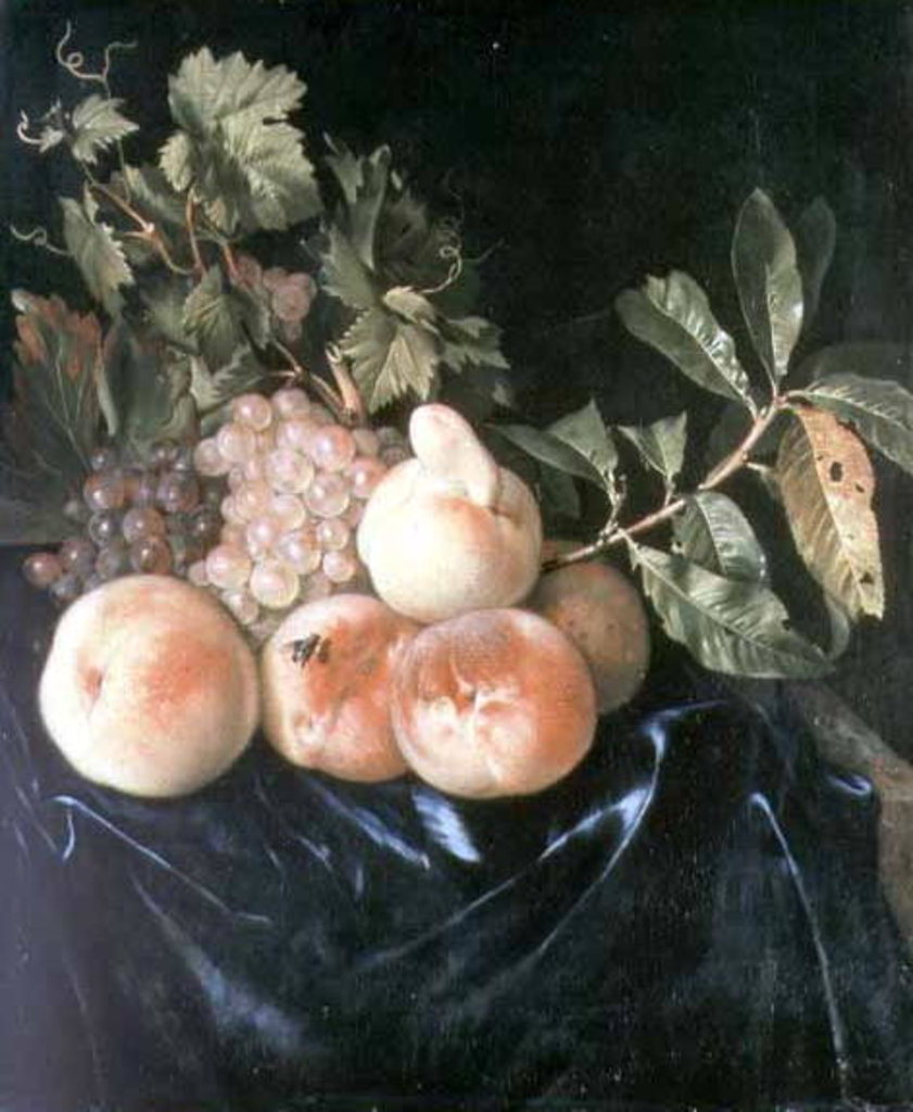 Detail of Still Life with Peaches and Grapes by Willem Frederik van Royen