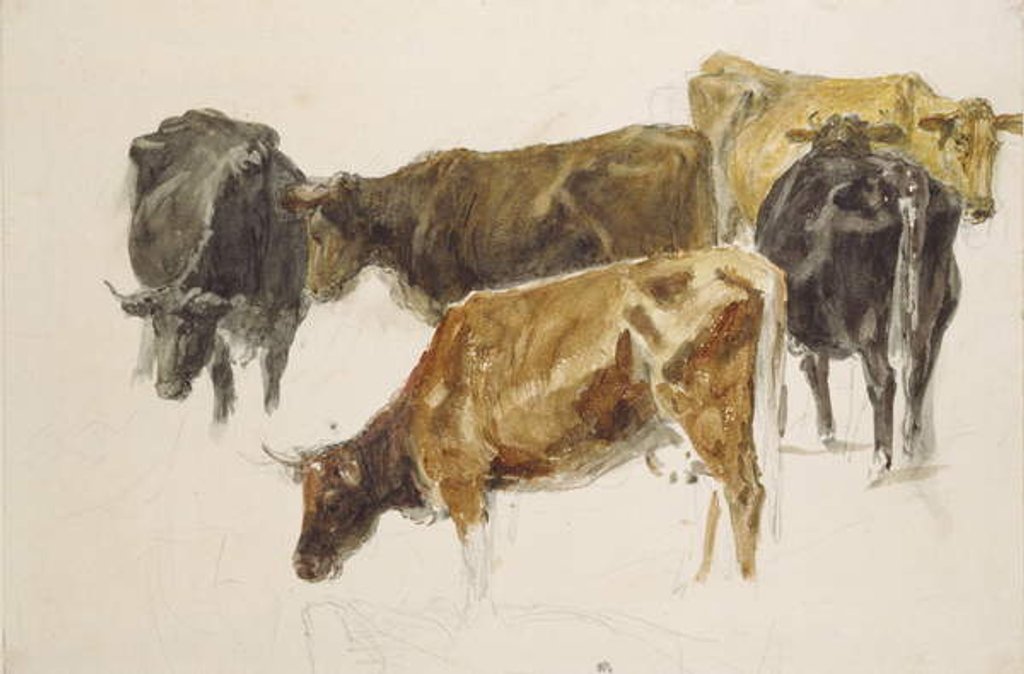 Detail of Study of a Group of Cows, c. 1801 by Joseph Mallord William Turner