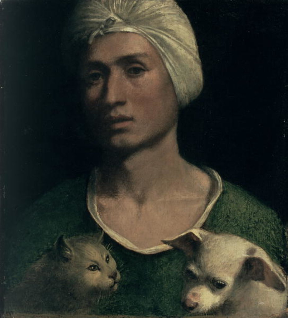 Detail of Portrait of a Young Man With a Dog and a Cat by Dosso Dossi