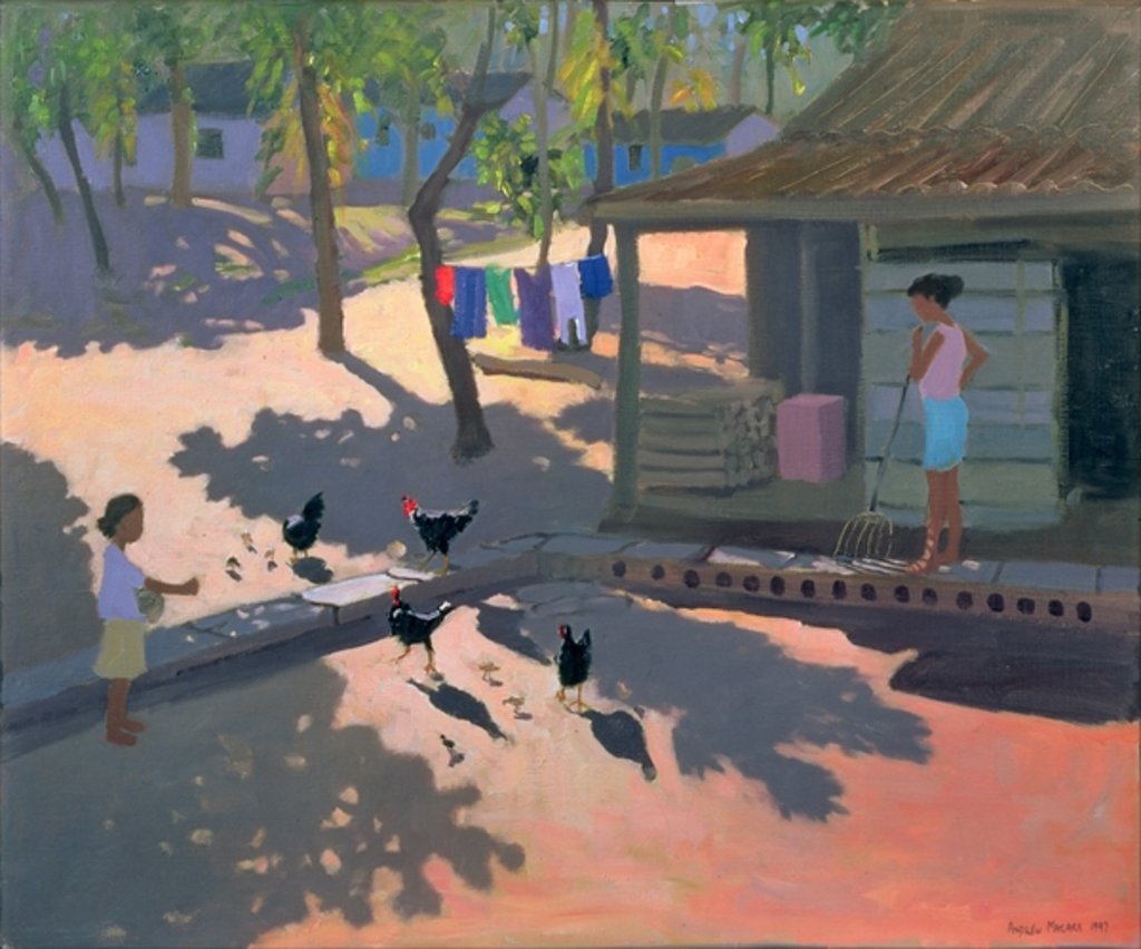 Detail of Hens and Chickens, Cuba, 1997 by Andrew Macara
