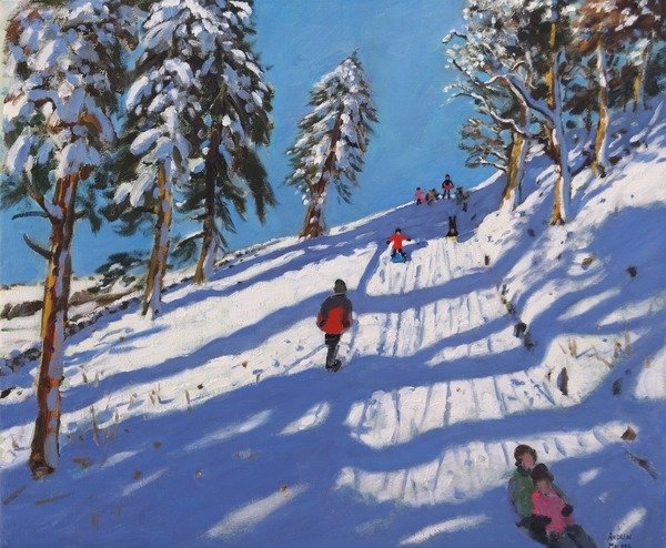 Detail of Sledging, Hillside, Glossop, 2015 by Andrew Macara