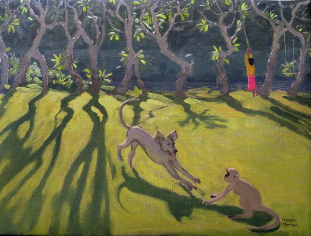 Detail of Dog and Monkey, Sri Lanka, 1998 by Andrew Macara