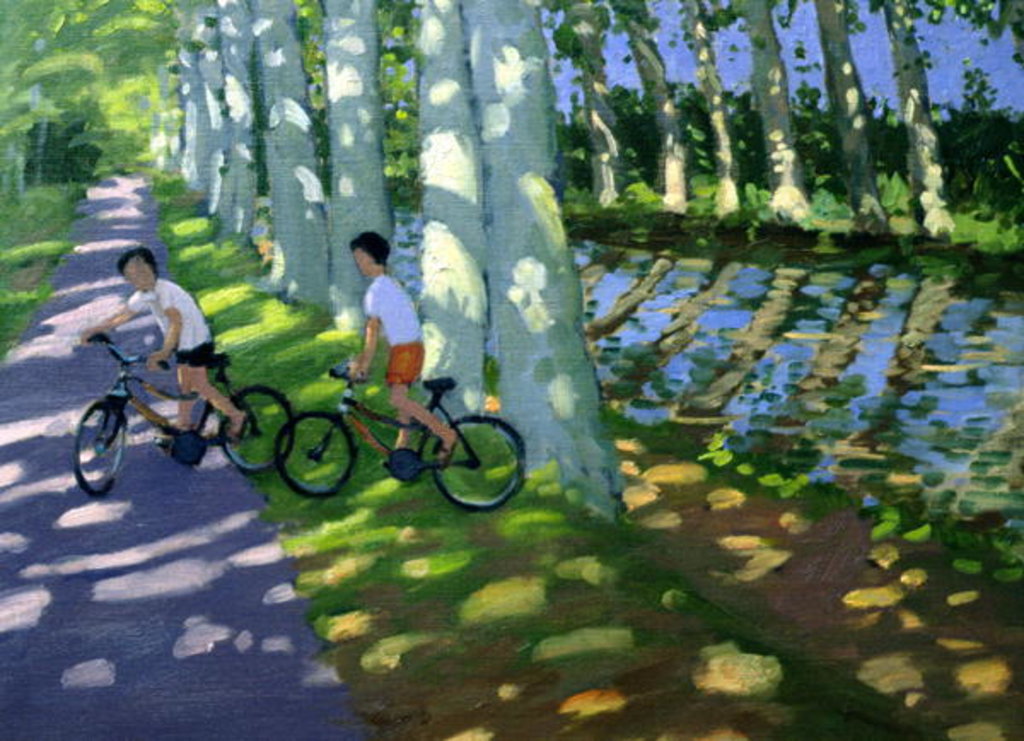 Detail of Canal du Midi, France by Andrew Macara