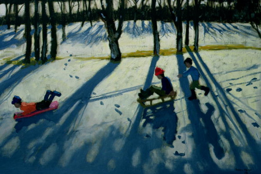 Detail of Boys Sledging, Allestree Park, Derby by Andrew Macara
