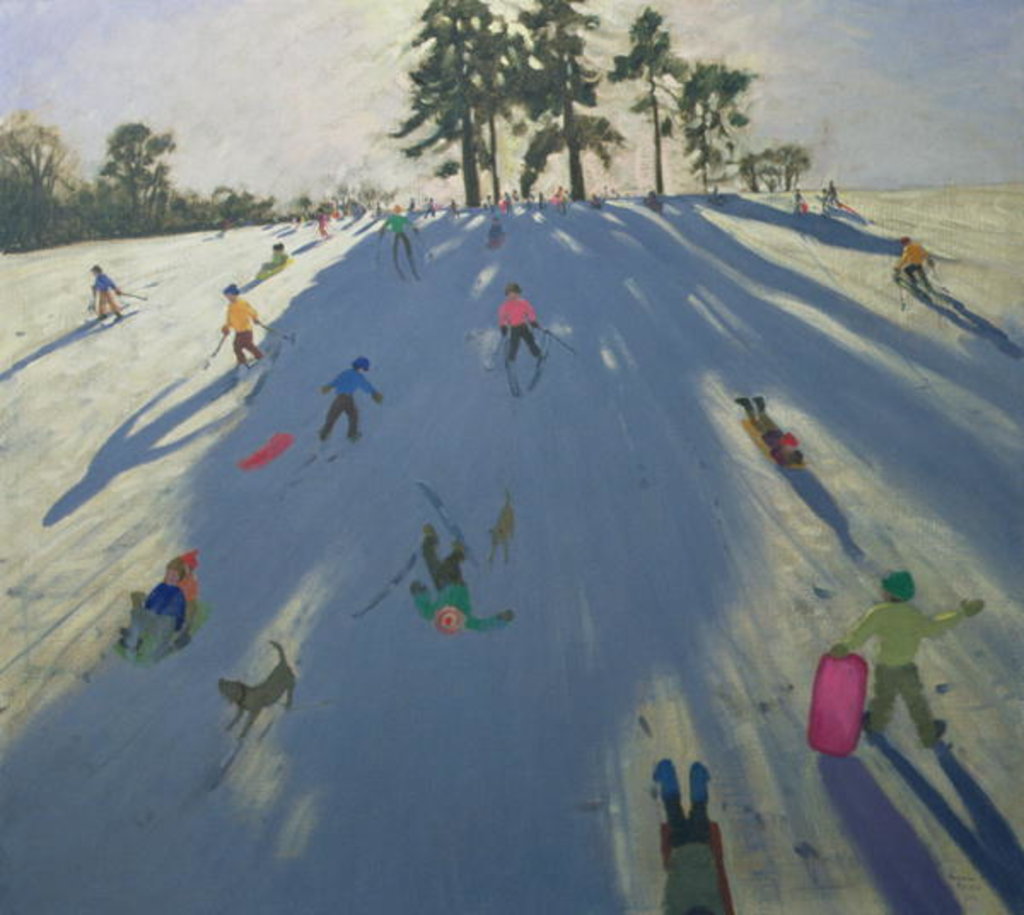 Detail of Skiing, Calke Abbey, Derby by Andrew Macara