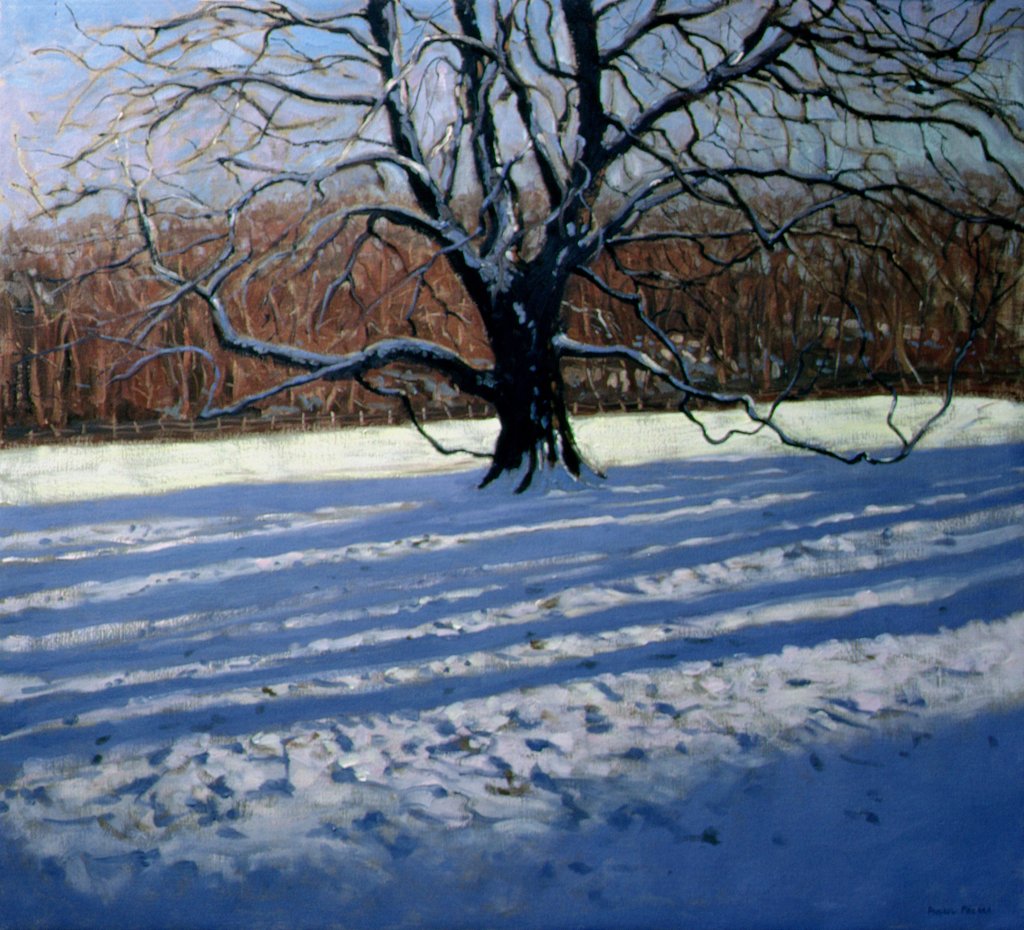 Detail of Large Tree, Snow, Calke Abbey by Andrew Macara
