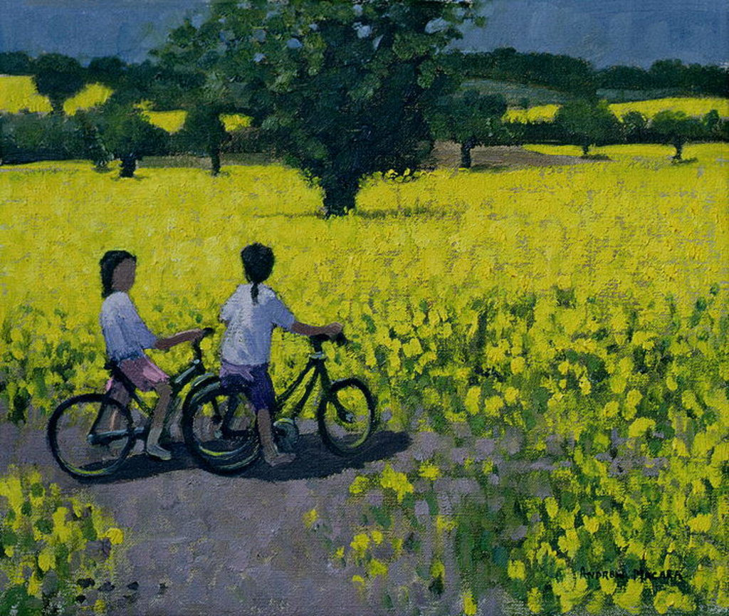 Detail of Yellow Field, Kedleston, Derby by Andrew Macara