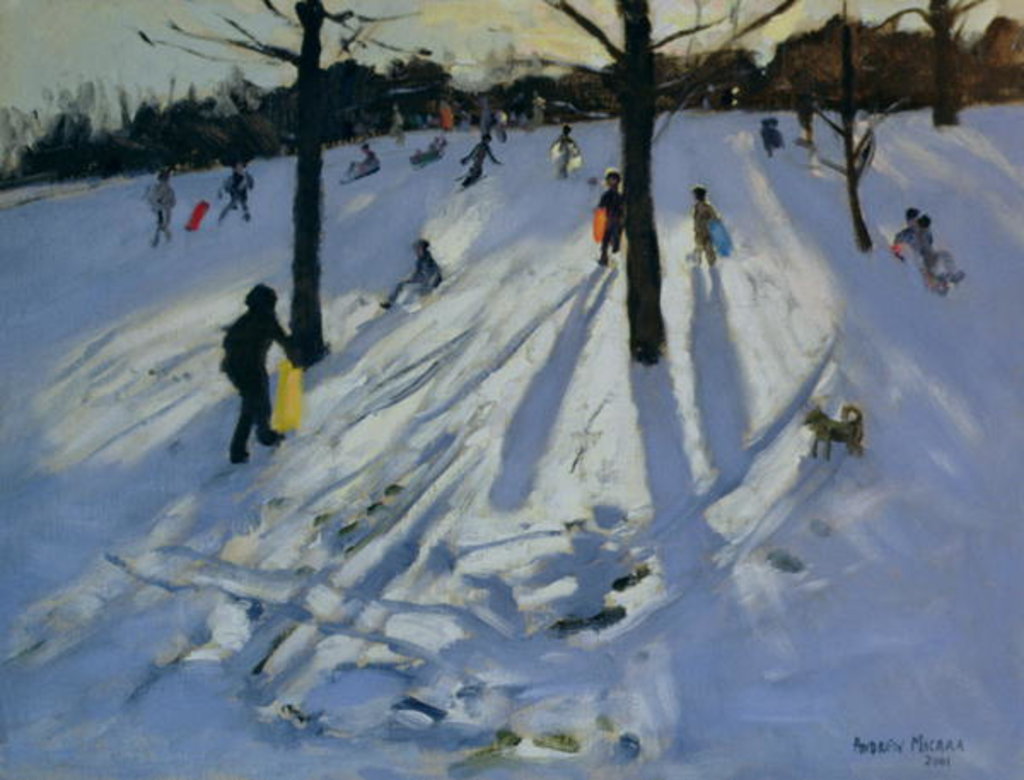 Detail of Snow, Rykneld Park, Derby, 2001 by Andrew Macara