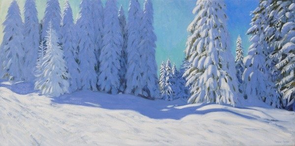 Detail of Fresh snow, Morzine, France, 2015 by Andrew Macara