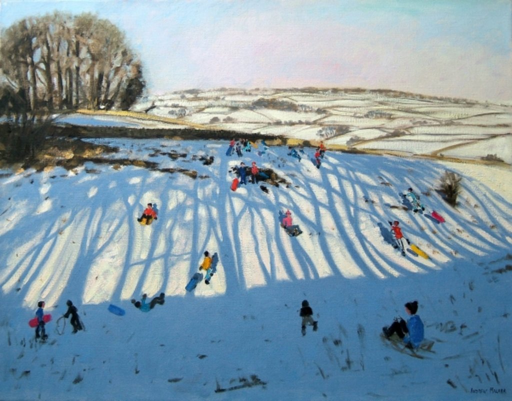 Detail of Fields of Shadows, Monyash, Derbyshire by Andrew Macara
