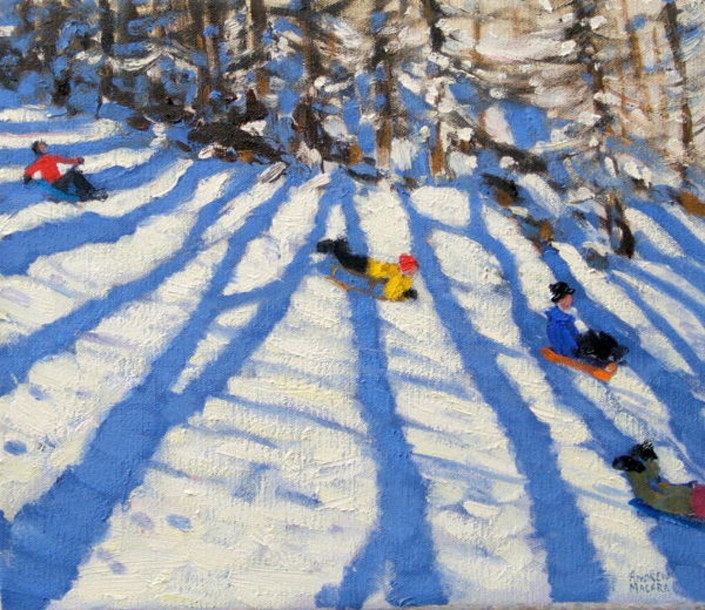 Detail of Tree shadows, Morzine by Andrew Macara