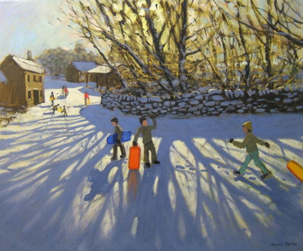 Detail of Red sledge, Monyash, Derbyshire by Andrew Macara