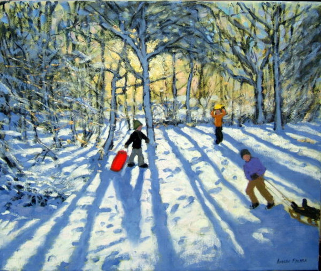 Detail of Woodland in winter, near Ashbourne, Derbyshire by Andrew Macara