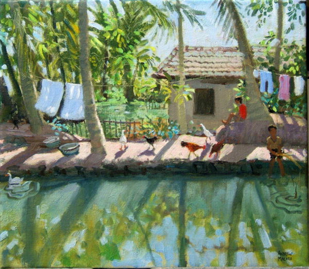 Detail of Backwaters, India by Andrew Macara