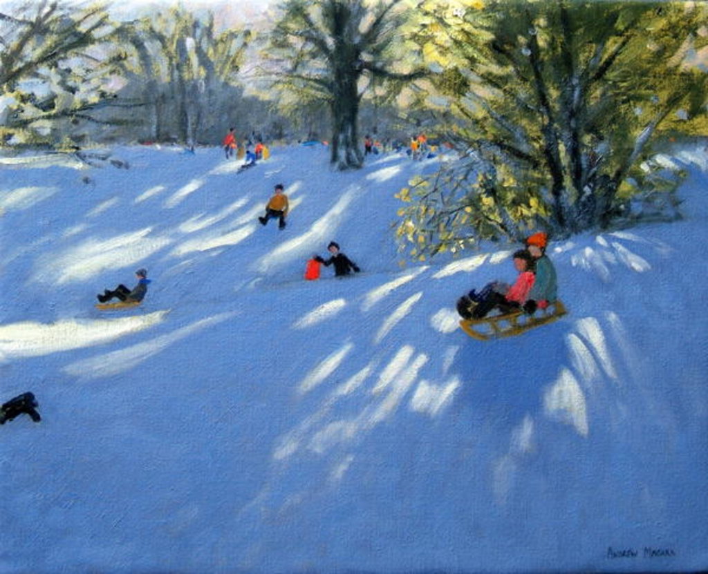 Detail of Early snow, Darley Park, Derby by Andrew Macara