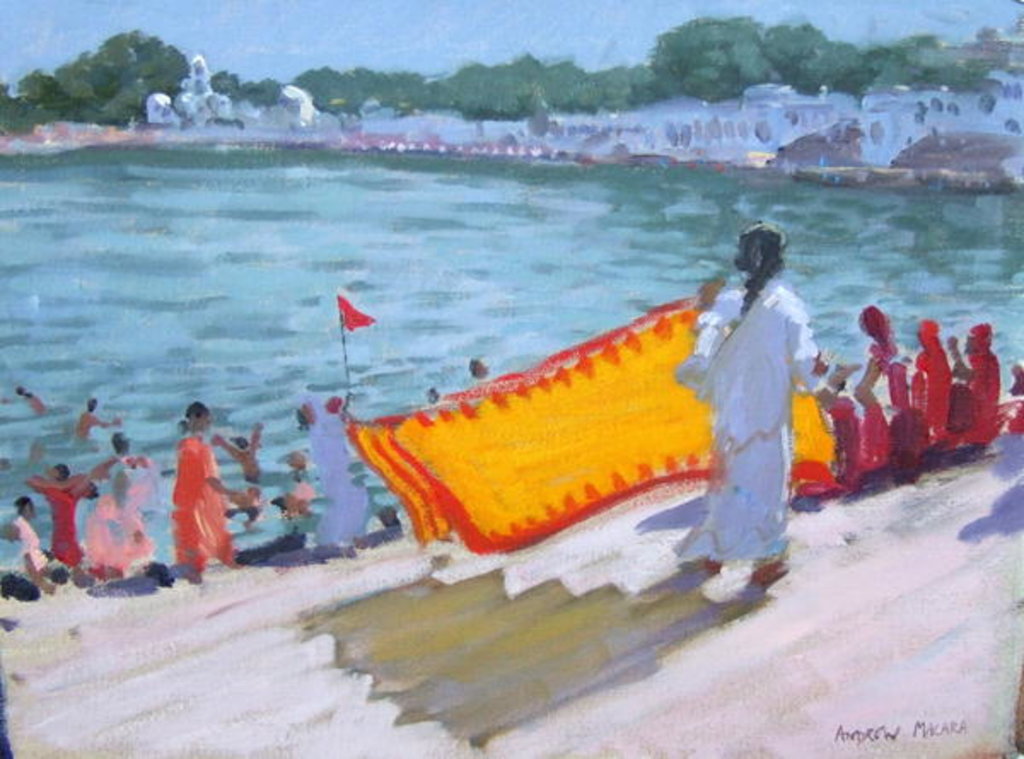 Drying Sari, Pushkar by Andrew Macara