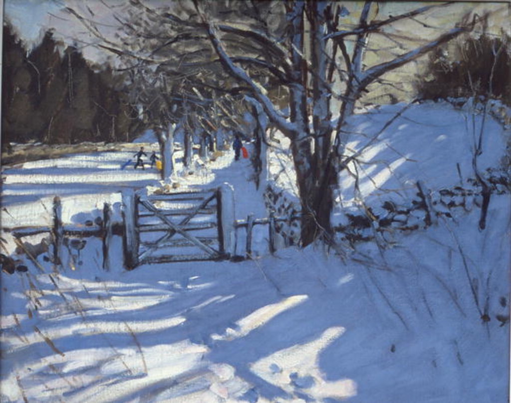 Detail of Gate near Youlgreave, Derbyshire by Andrew Macara