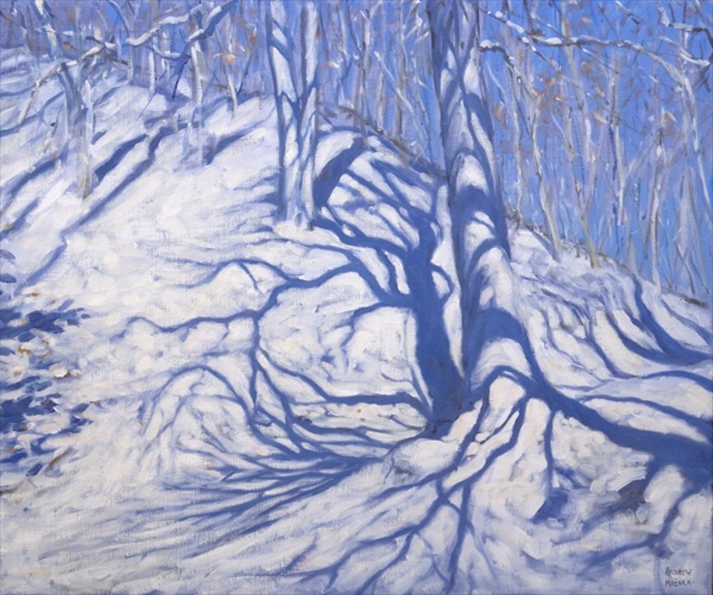 Detail of Winter Woodland, near Courchevel, 2008 by Andrew Macara