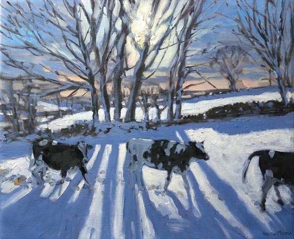 Detail of Friesian Cows by Andrew Macara