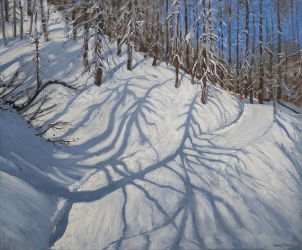 Detail of Fir Tree Shadows, Tignes, 2009 by Andrew Macara