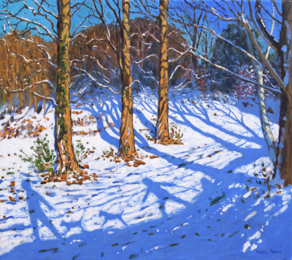 Detail of November snow, Allestree Park, Derby, 2017 by Andrew Macara