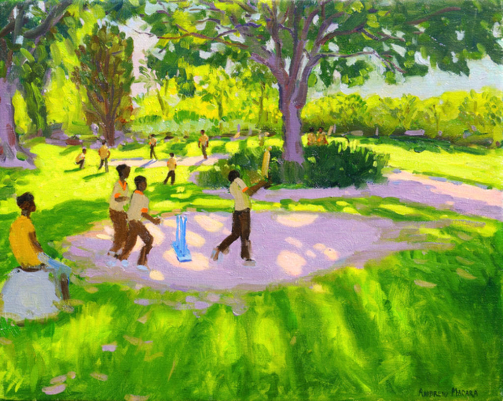 Detail of Cricket Practise, Botanical Gardens, Dominica, Grenadines, West Indies, 2010 by Andrew Macara