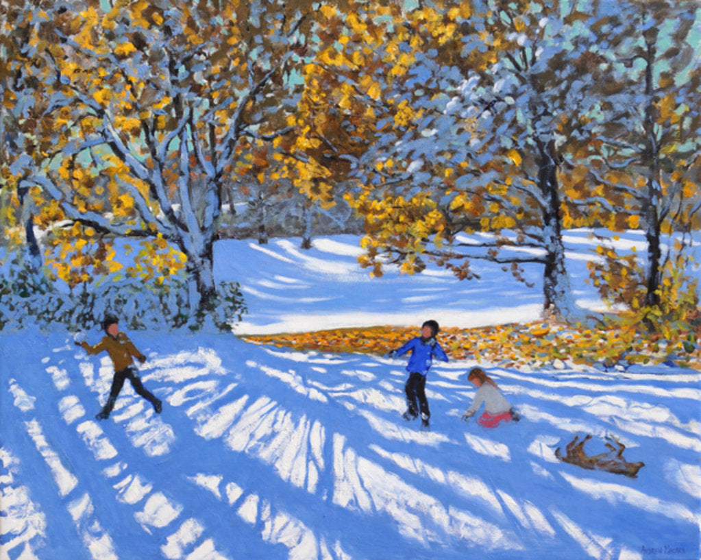 Detail of Early snow, Allestree Park, 2017 by Andrew Macara