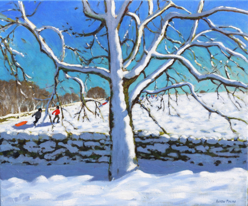 Detail of Tree in winter, Newhaven, Derbyshire, 2017 by Andrew Macara