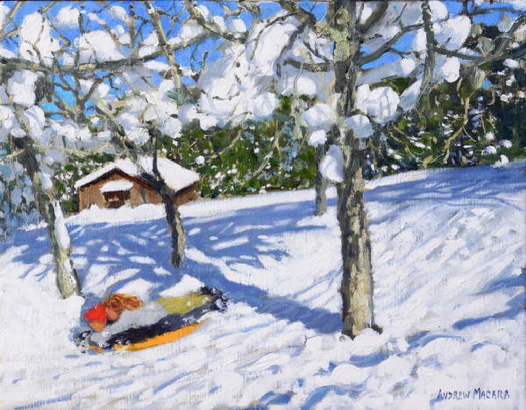 Detail of Sledging in the orchard, Morzine, 2018 by Andrew Macara