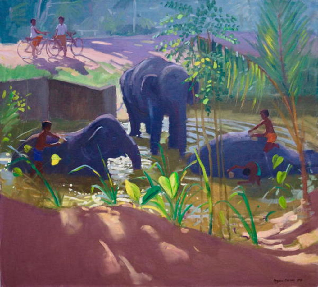 Detail of Washing Elephants, Sri Lanka, 1995 by Andrew Macara