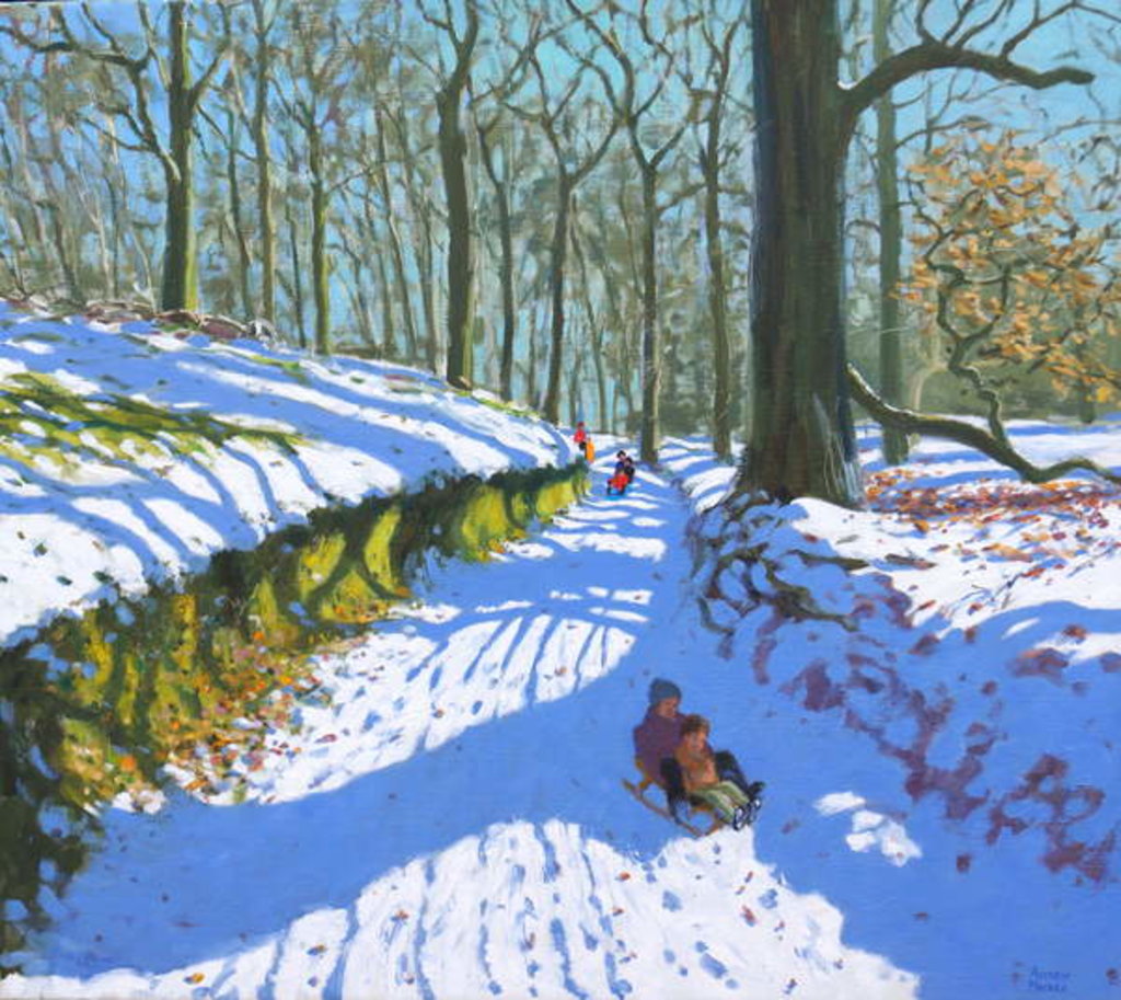 Detail of Sledging through the woods, Osmaston Park, Derby, 2018 by Andrew Macara