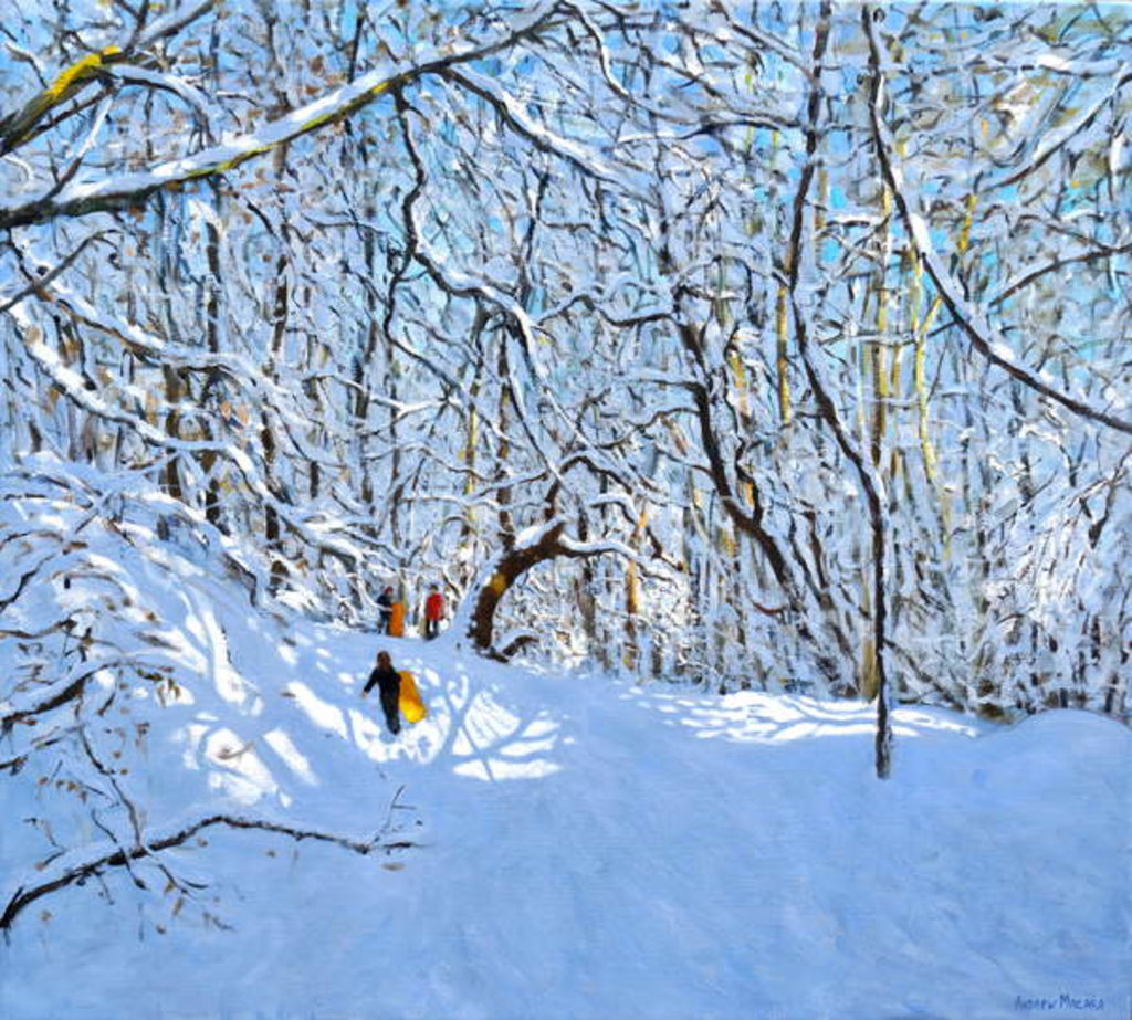 Yellow and oranges sledges, Allestree Park, Derby, 2018 by Andrew Macara