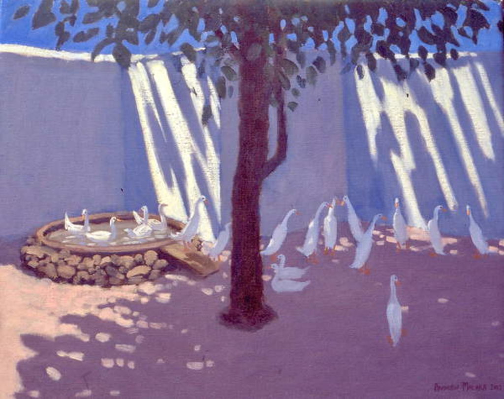 Detail of Runner Ducks, South Africa, 2011 by Andrew Macara