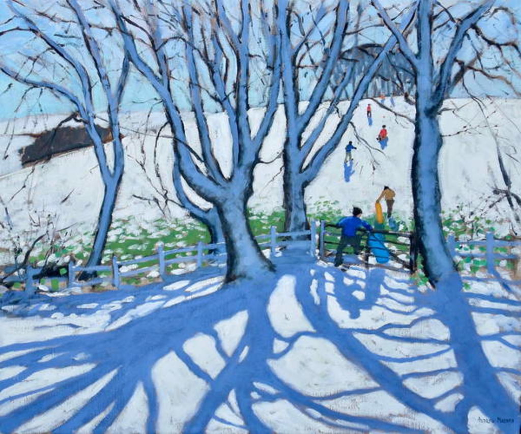Detail of Going sledging, Dam Lane, Ashbourne, Derbyshire, 2018 by Andrew Macara