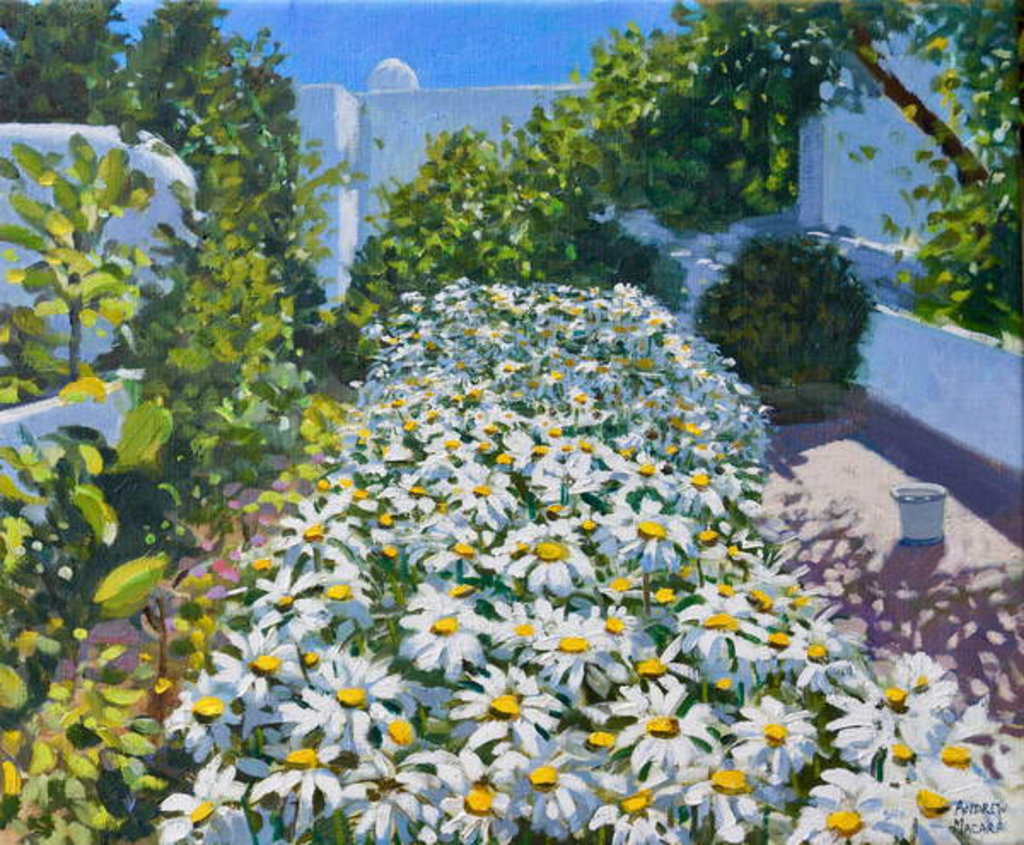 Detail of Daisies, 2018 by Andrew Macara