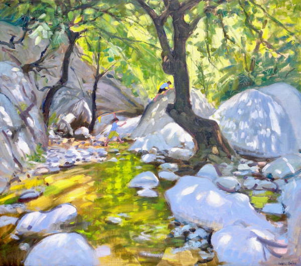 Detail of Mountain stream, Lefkas, Greece, 2009 by Andrew Macara