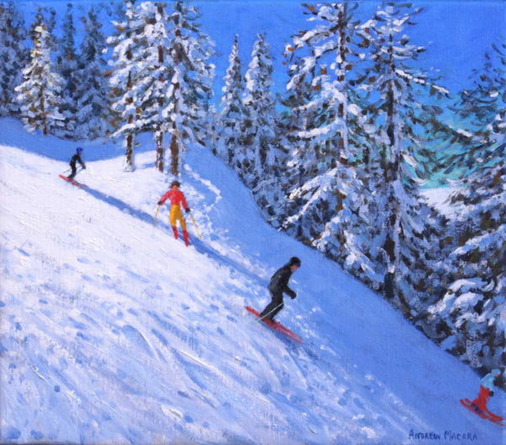 Detail of Steep slope, Les Arcs, France, 2018 by Andrew Macara